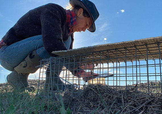 Conservation Wilder Institute