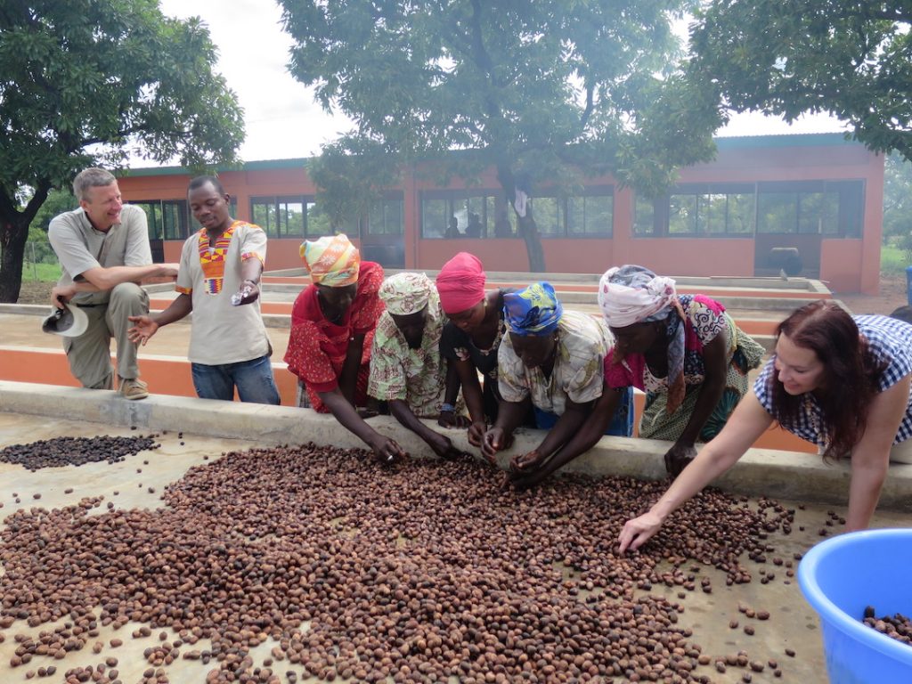 Group of people sorting through seeds