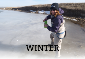 Winter