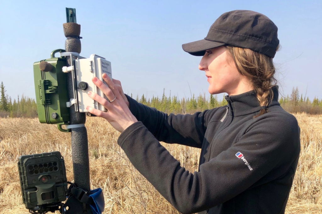 Person standing in field facing a stick of tech