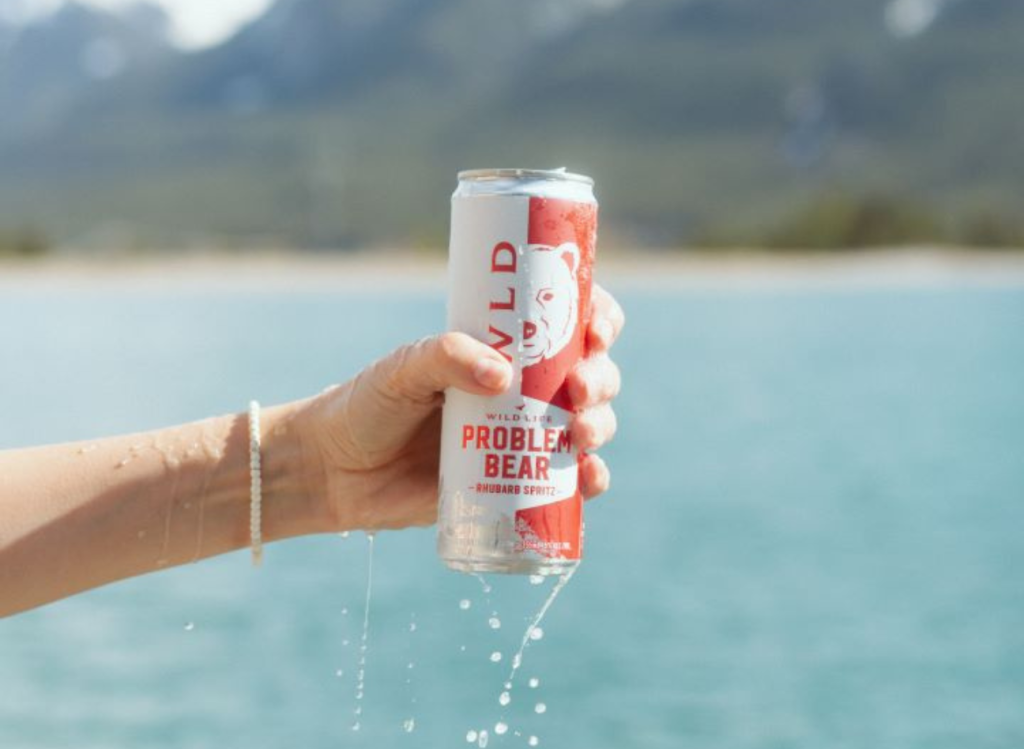 A hand holding a can of Wild Life drink in front of a blurred water and beach.
